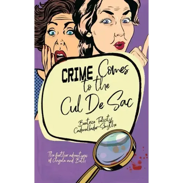 Crime Comes to the Cul de Sac: The further adventures of Angela and Beth