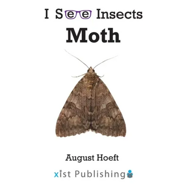 Moth
