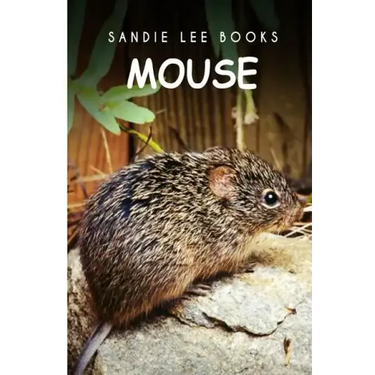 Mouse - Sandie Lee Books