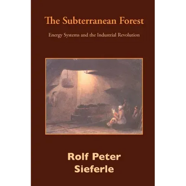 The Subterranean Forest