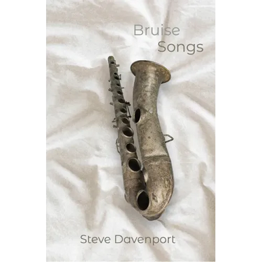 Bruise Songs