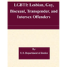 Lgbti: Lesbian, Gay, Bisexual, Transgender, and Intersex Offenders