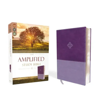 Amplified Study Bible, Imitation Leather, Purple