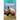 Rhinos