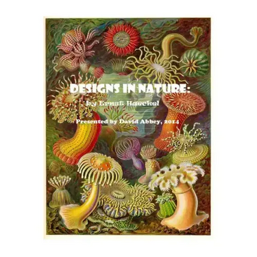 Designs in Nature: the incredible art of Ernst Haeckel