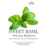 Sweet Basil - Ocimum basilicum- The Essential Oil of Empowerment: How To Heal The Mind Body Spirit With Medicinal Plants And Aromatherapy