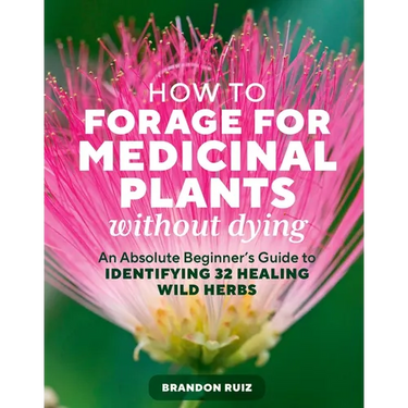 How to Forage for Medicinal Plants Without Dying: An Absolute Beginner's Guide to Identifying 32 Healing Wild Herbs