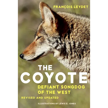 The Coyote: Defiant Songdog of the West