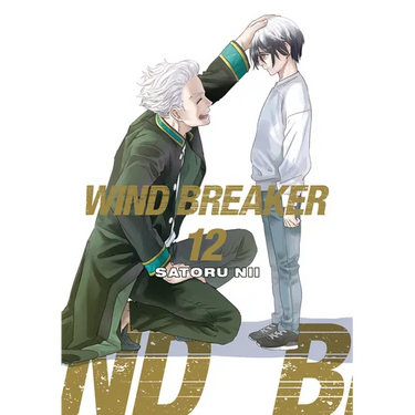 Wind Breaker 12