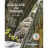 Wildlife In Parker: Colorado