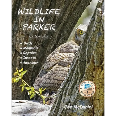 Wildlife In Parker: Colorado