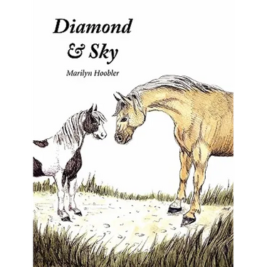Diamond & Sky