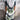 df275e82-f082-4598-8537-a11dd4b0a197-Max