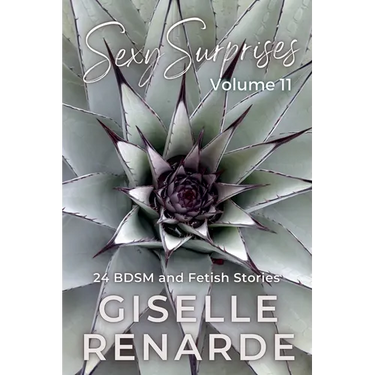 Sexy Surprises Volume 11: 24 BDSM and Fetish Stories