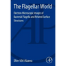 The Flagellar World: Electron Microscopic Images of Bacterial Flagella and Related Surface Structures