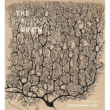 The Beautiful Brain: The Drawings of Santiago Ramon Y Cajal