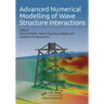 Advanced Numerical Modelling of Wave Structure Interaction