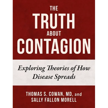 The Truth about Contagion: Exploring Theories of How Disease Spreads
