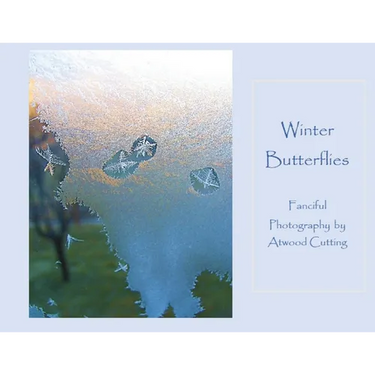 Winter Butterflies: Fanciful Photography by Atwood Cutting