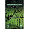 Phytoremediation: A Strategy to clean up Environment