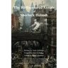 The Rediscovered Annals of Sherlock Holmes