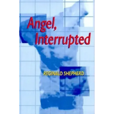 Angel Interrupted