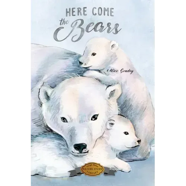 Here Come the Bears