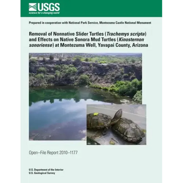 Removal of Nonnative Slider Turtles (Teachemys scripta) and Effects on Native Sonora Mud Turtles (Kinosternon sonoriense) at Montezuma Well, Yavapai C