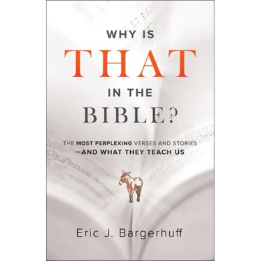 Why Is That in the Bible?: The Most Perplexing Verses and Stories--And What They Teach Us