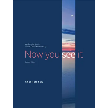 Now You See It: An Introduction to Visual Data Sensemaking