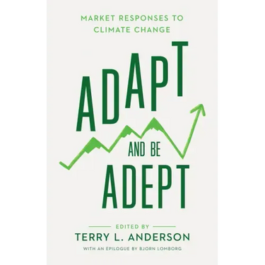Adapt and Be Adept: Market Responses to Climate Change