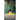 Famous' Destiny The Monster In The Forest