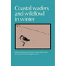 Coastal Waders and Wildfowl in Winter
