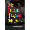My Journey Through Madness: The Memoir of a Young Man Struggling with Mental Illness