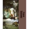Cave Bureau: The Architect's Studio