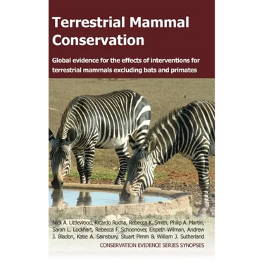 Terrestrial Mammal Conservation: Global Evidence for the Effects of Interventions for Terrestrial Mammals Excluding Bats and Primates