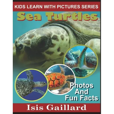 Sea Turtles: Photos and Fun Facts for Kids