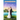 The Billionaire's Marriage Promise