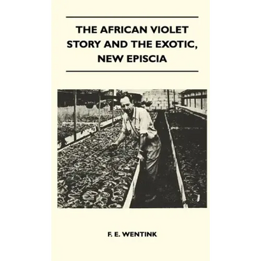 The African Violet Story And The Exotic, New Episcia