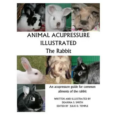 Animal Acupressure Illustrated The Rabbit
