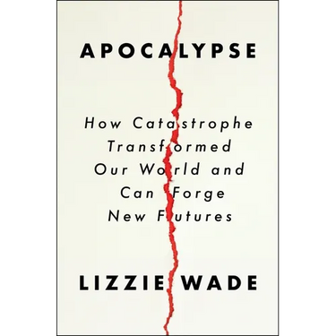 Apocalypse: How Catastrophe Transformed Our World and Can Forge New Futures