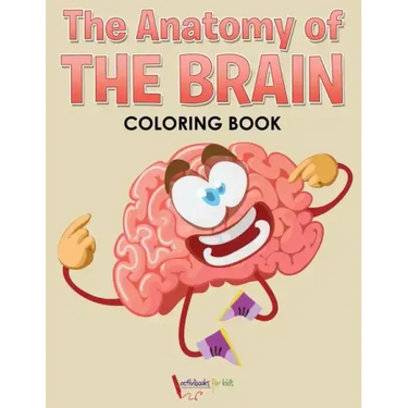 The Anatomy of the Brain Coloring Book