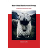 Baa-Baa Blacknose Sheep: The Blacknose Sheep from Valais