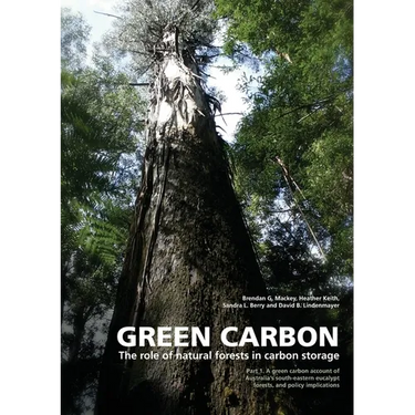 Green Carbon Part 1: The role of natural forests in carbon storage