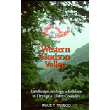 Walks and Rambles in the Western Hudson Valley: Landscape, Ecology, and Folklore in Orange and Ulster Counties