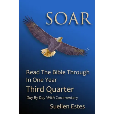 Soar: Read The Bible Through In One Year, Third Quarter