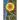 The Road to Eden: The Journey Home