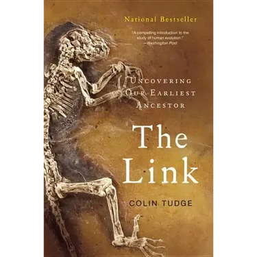 The Link
