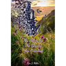 My Poetry Is The Beauty You Overlook