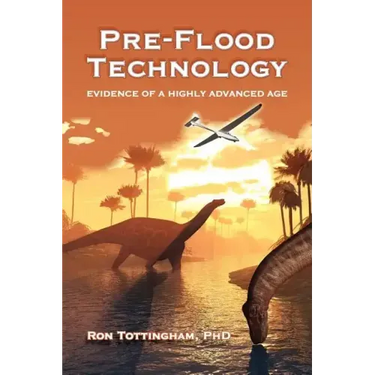 Pre-Flood Technology